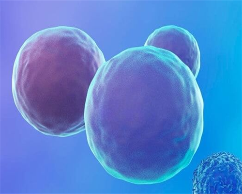 试管代孕选男女费用,福州最好的不孕不育症医院排名前十公布_福州哪些不孕不