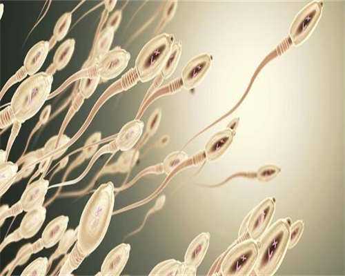 代孕的费用如何,舒兰管积水做试管怎么样输卵管积水如何做试管