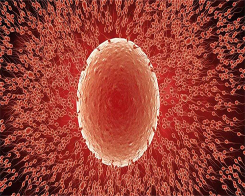 供卵代孕包男孩_试管能做龙凤胎吗多少钱,穿刺附睾有死精是什么情况？