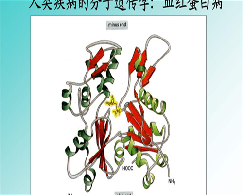 试管婴儿哪种方案更好