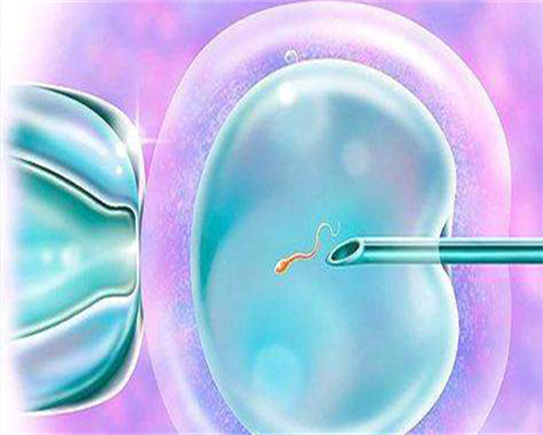 第二代正规便宜包代生的费用需要多少钱？费用总计是多少？