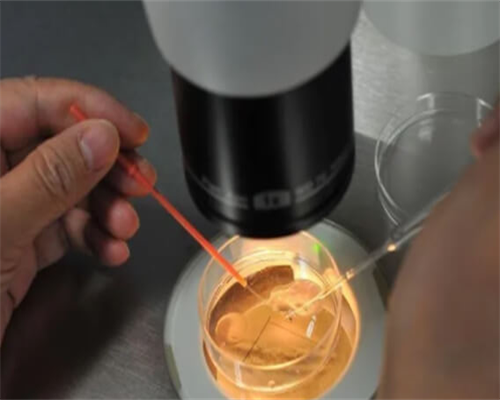 做试管子宫要多大才正常,做试管子宫要多大才正常生活