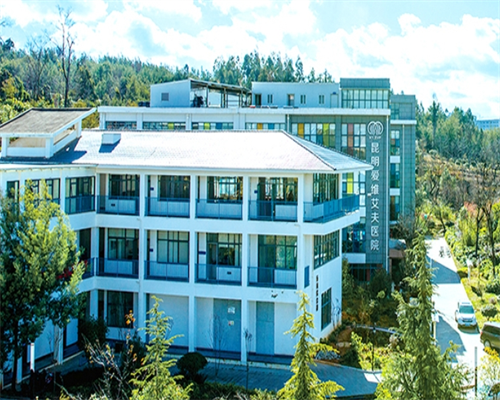 代生套餐价钱表_正规人工代孕代怀,25羟基维生素d偏低会影响一级胚胎移植着床