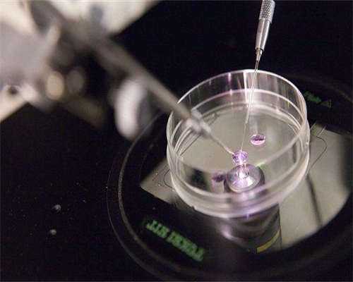 代孕怎么收费,精子少吃什么食物生精（男人吃什么食物生精）