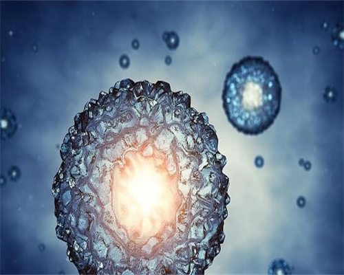 国内代生咨询_有没有权威的代孕机构,专家答疑-第三代试管婴儿胚胎染色体筛查