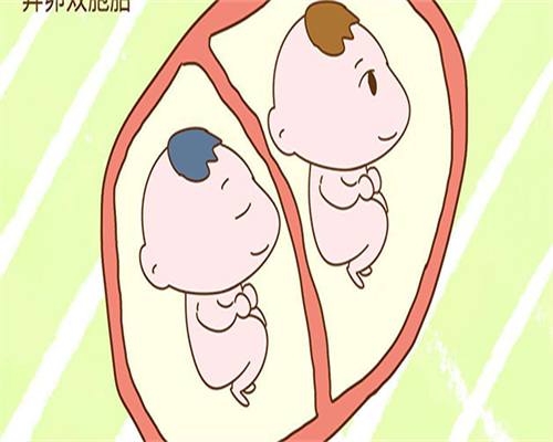 宁波代生儿子包成功移植囊胚费用多少 宁波代生儿子包成功移植囊胚费用多少