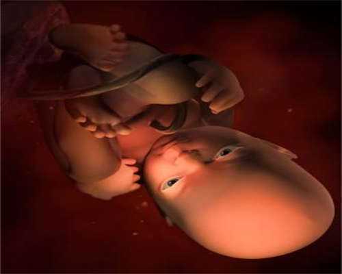 高龄在上海试管借卵指定医院做三代试管借卵指定成功率最高有多少！费用花销