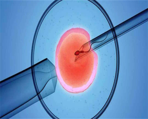卵巢功能早衰做试管几代好_卵巢早衰可以试管