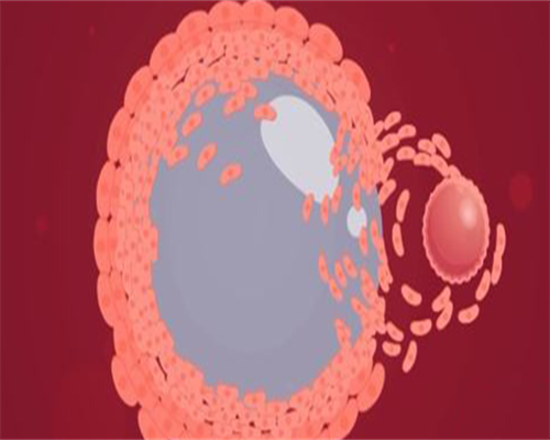 女子代怀生子-冷冻胚胎的复苏过程是怎样的？