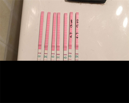 到柬埔寨做同性代生孩子价格价格参考