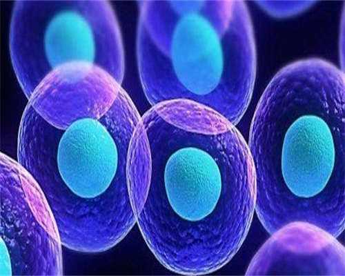 代生男孩价格表费用是多少？内附代生男孩价格表流程！