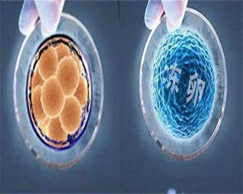 代怀试管-吃榴莲有助于卵泡发育吗