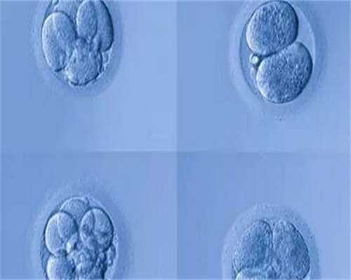 贵州三代试管婴儿价格是多少？越吃血压越低！