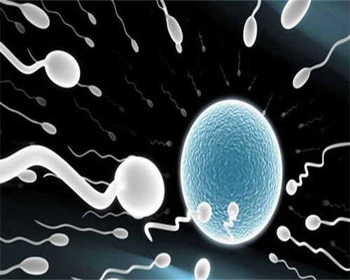 试管婴儿要几钱！能不能要孩子！