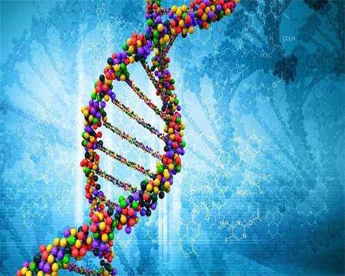 试管代生群-闭经引起囊肿怎么办（女性闭经会怀孕吗）