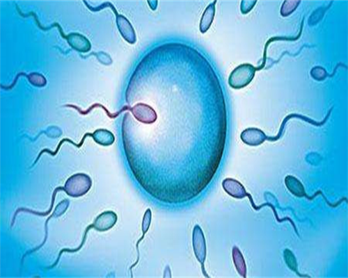 青岛第三方助孕-青岛卵巢早衰供卵群,孩子智力高低表现分析，3分钟知晓测试方