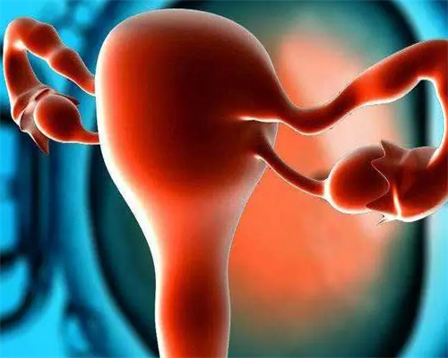 供卵机构-炎天备孕能够泡脚吗？泡脚有什么好处？