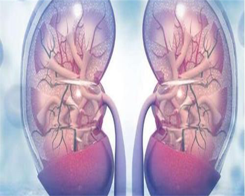 供卵代孕儿子补贴,泰国试管费用多少？输卵管造影需要做吗