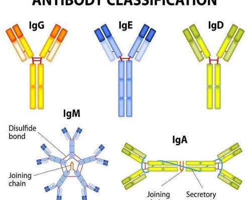 
              女的罗氏易位做三代代生公司在哪里囊胚筛查的成功率有多少？
 