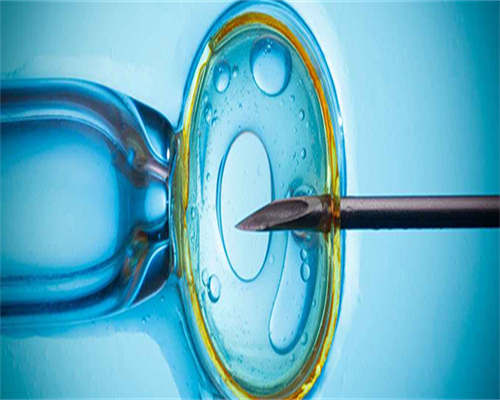 盆腔积液可以做供卵代孕哦_盆腔积液影响供卵代孕促排吗