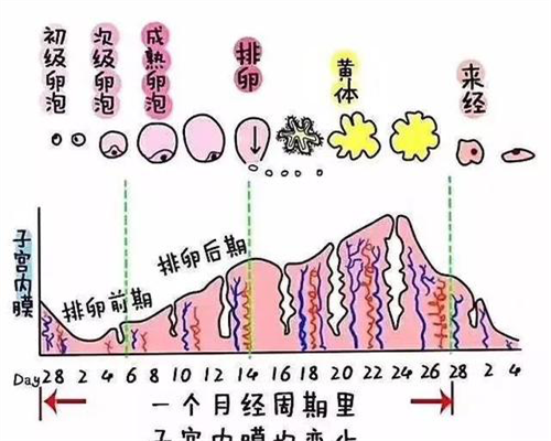 全国能做试管婴儿的正规医院可以签约吗