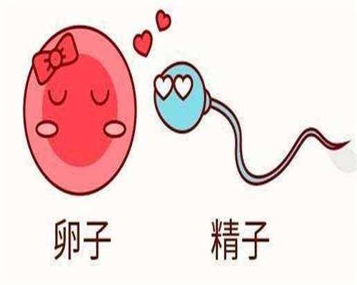 青岛有哪几家公立医院能做第三代试管婴儿？