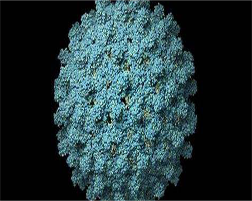 哪家代孕机构好_60万100%包生男孩,怀孕前三个月的症状