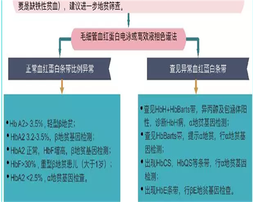 代生包成功总费用胚胎三代的区别是什么？代生包成功总费用三代是冻胚还是囊