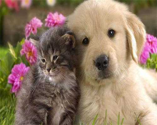 浅谈中国人民*总医院第七医学中心做第二代代生孩子公司经历