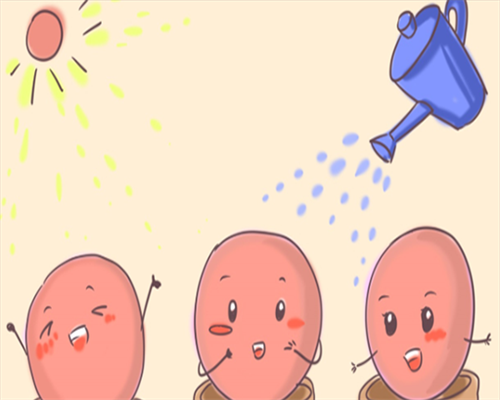 试管捐卵流程-青岛第三代试管婴儿排名最好的医院是哪家？