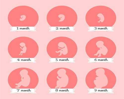 怀孕8优思明避孕药个月乳头流水是怎么回事？