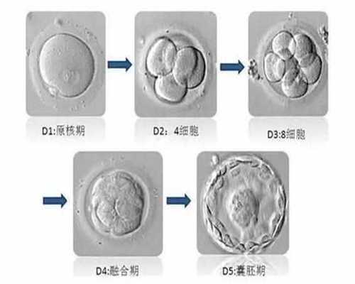怀孕七个月，北京市人口与计划生育条例为什么