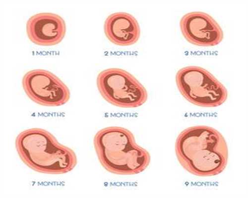 怀试管双胞胎孕之后，一般几个月开始显怀？