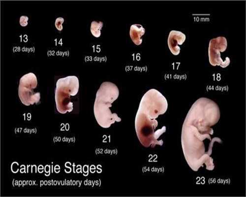 沧州代孕供卵L：女人怀孕后，最难熬的5个阶段，