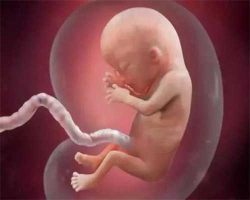 无锡代孕网 ：孕早期吃什么吐什么该怎么办？