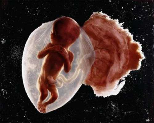 菏泽代孕产子网：孕晚期如何进行胎教？孕晚期