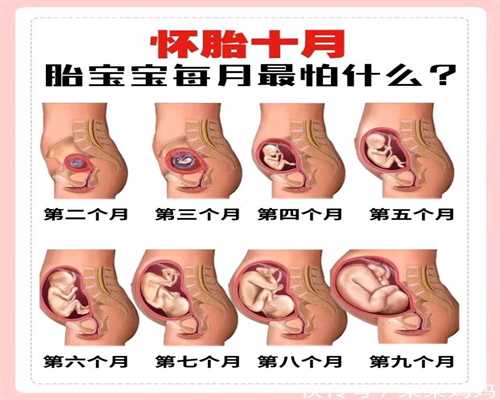 宁波代孕费：孕期40周指南：怀孕第24周 呼吸系统