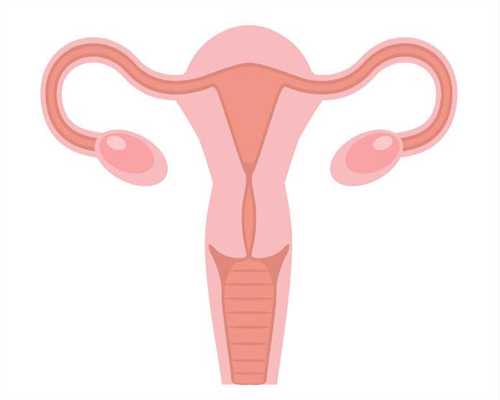 泰州代孕机构：孕期准妈妈要注意补充这三类营