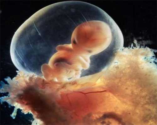 唐山代孕产子网：怀孕8个月的硬核孕妇，陈意涵