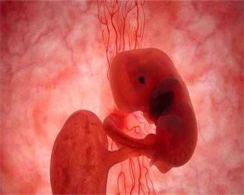 泸州代孕机构：怀孕三个月，胎儿免疫力增强，