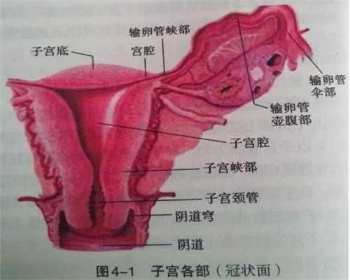 扬州代孕-扬州代孕网：总是生气，检查出甲状腺