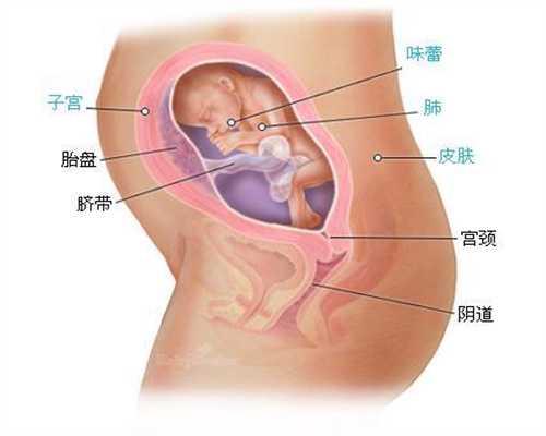 滨州找代孕公司：看到很多宝宝都有消化不良的