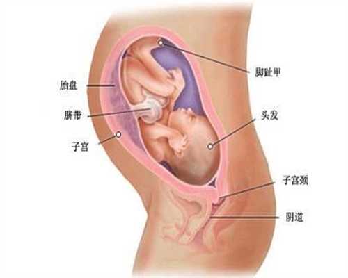 滨州找代孕公司：看到很多宝宝都有消化不良的