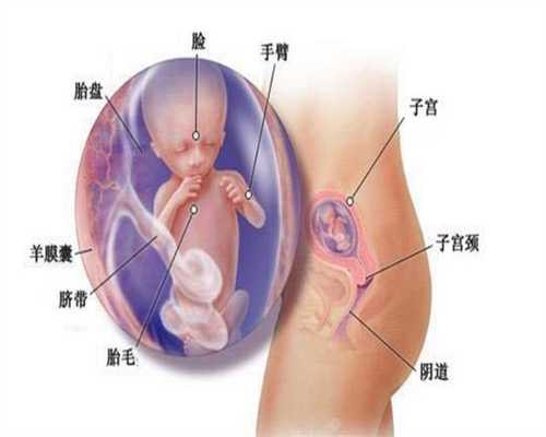 中国辅助代孕网：空腹血糖正常但餐后血糖高，