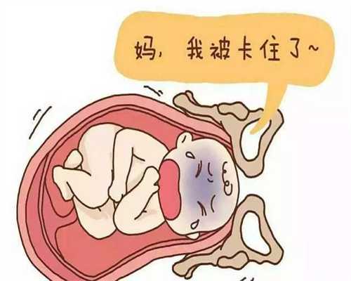 株洲代孕产子公司：罗书平：女护士将“死婴”