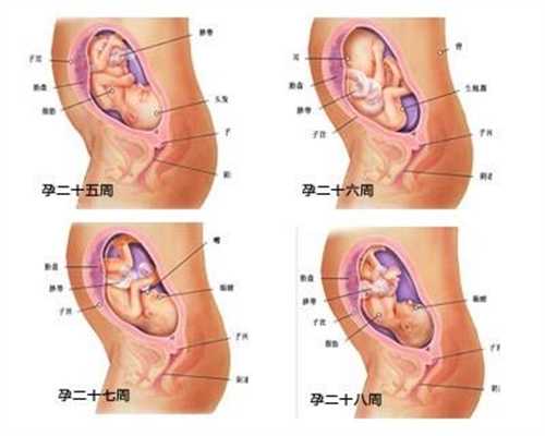代孕五个月胸部痒怎么回事_助孕宝有什么功效