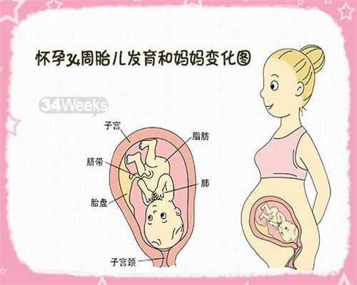 代孕7个月吃什么对胎儿好