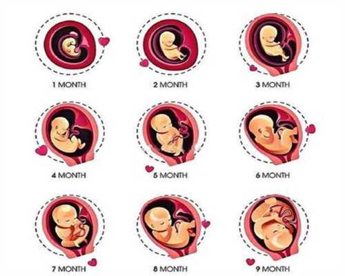 代孕的征兆代孕都会有什么反应_代孕baby
