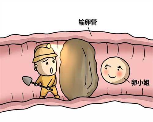 广州高鹰代孕中介 代孕初期怎么断定死胎，如果