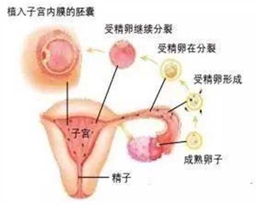 北京代孕_北京代孕服务平台_北京在哪儿找代孕妈